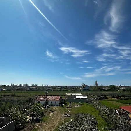 Modern Getaway Meets Nature 度假居 *